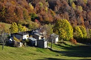 Al Rif. GRASSI (1987 m) e allo ZUC DI CAM (2195 m) da Ceresola (Valtorta) il 14 ottobre 2017  - FOTOGALLERY